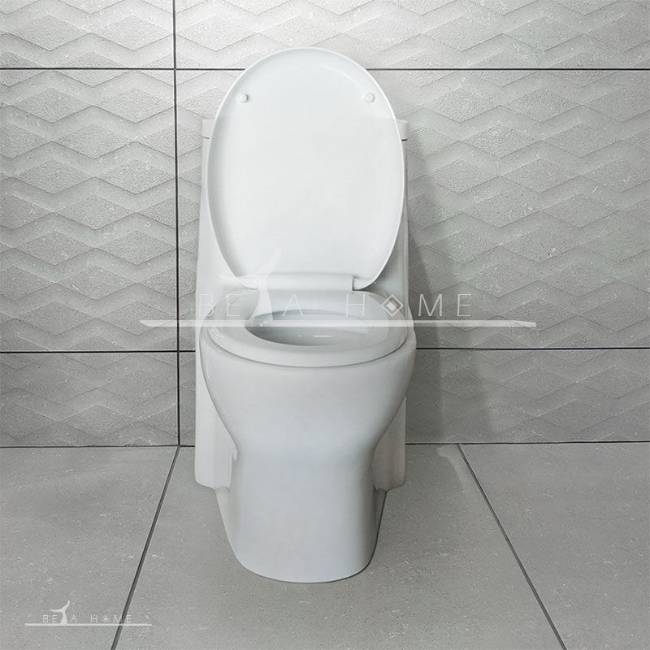 Parmida morvarid toilet front
