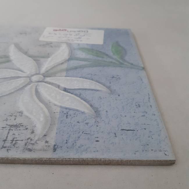Picture of Behind the cabinet single flowers of bright blue jasmine 1 20*20