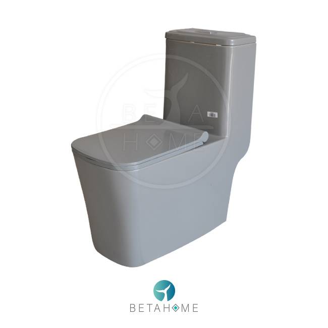 Gray Alpha70 Modern Square Toilet + Soft Close Seat