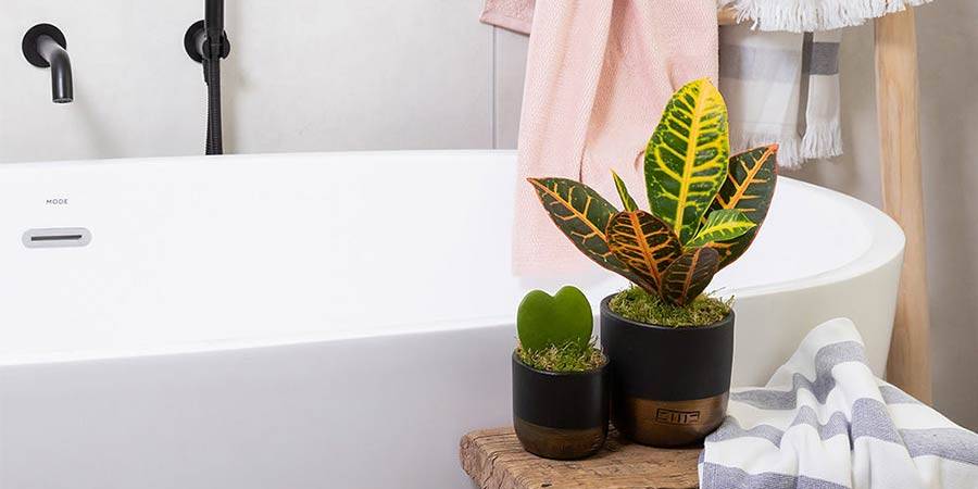 استفاده از گیاه در سرویس بهداشتی و حمام برای داشتن فضای زیبا و شیک